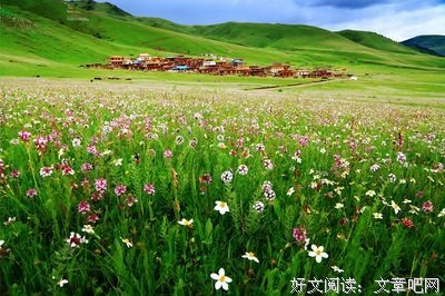 《圣洁》经典读后感10篇