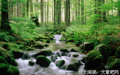 国内最美的洗肺天堂，感受清凉，感受祥和的净土