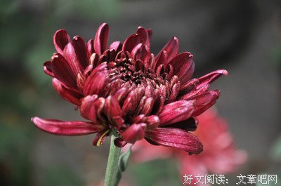 《自由陆月把小不们》的句子