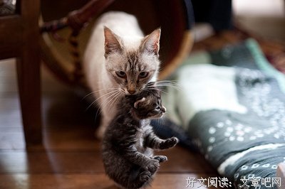 以后，不打扰你了