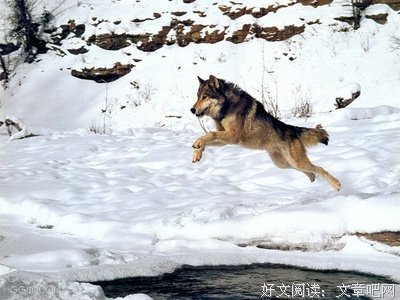 奋斗和人生经典名句