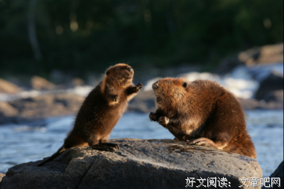 马蒂的名句_关于马蒂的名句