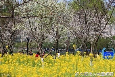 去发个朋友圈 ( 很短, 很精辟 )