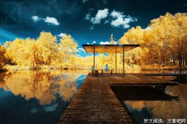 有一种美丽叫：淡到极致 
