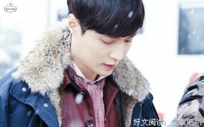 《胭脂雪》影评精选10篇