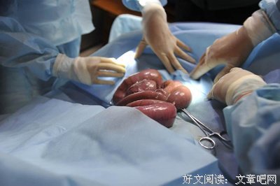 【图】如何让亲妈，接受我买的貂......