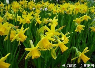 早安，感谢身边真心爱你的人。