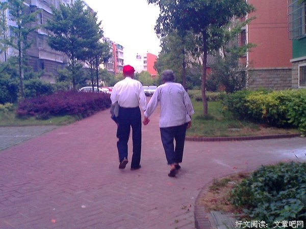 苏小旗：老来伴