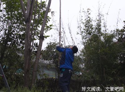 父亲的一番话，说出了老婆对一个家到底有多重要！