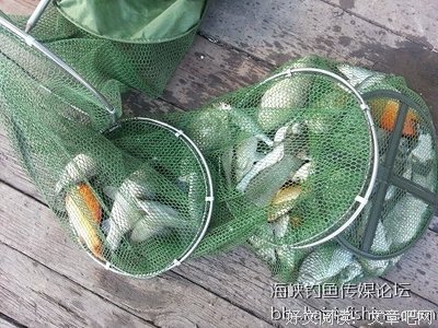 对的爱情，原来真的有魔力【异地日记╋60期】