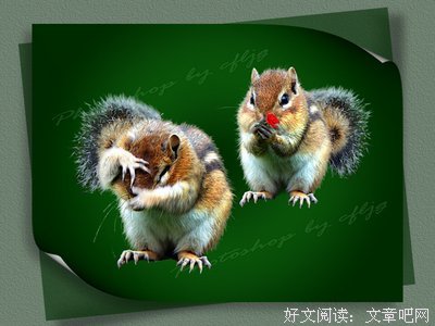 “妈，我要娶的新娘，不是新的娘！”
