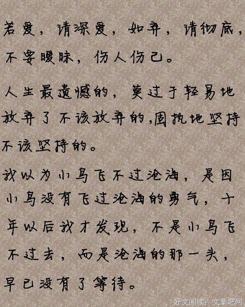 小说美句句子大全