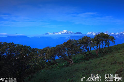 隐约可见的句子
