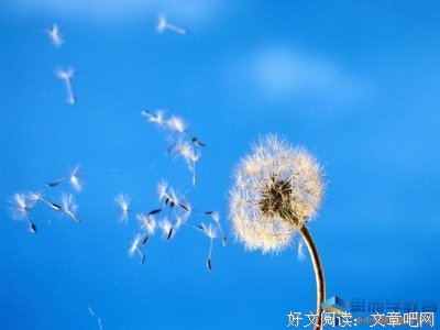 风声鹤唳的语句摘抄_关于风声鹤唳的语句