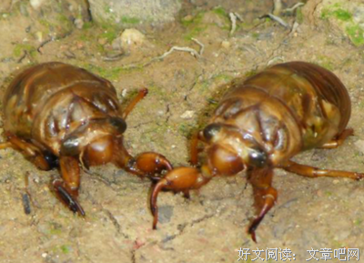 你假装没事，因为怕被说“矫情”| 关于“心理强大”的 5个误解