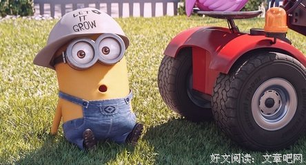《爱宠》经典影评10篇