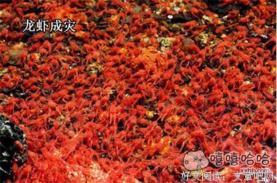 妈妈，请给我一个安全套！