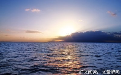 --独爱句子