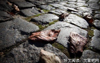 关于在最美年华遇见的优美句子