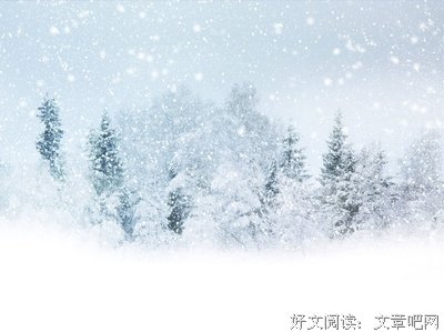 关于美文的优美句子