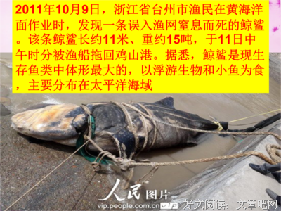 摧枯拉朽的句子