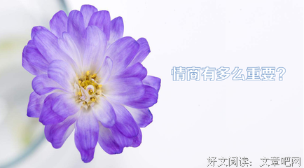 高情商的人，从来不会这样说话