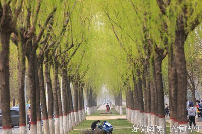 关于触景生情的名言
