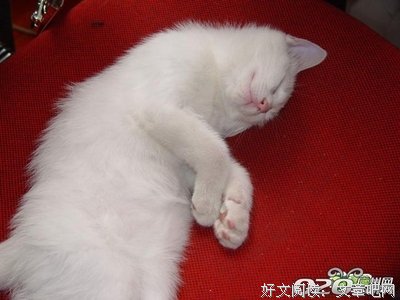 睡觉的时候请你老实点！