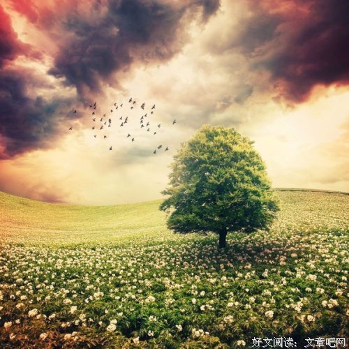 赏读丨慢品生活，把日子过成诗