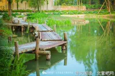 似水流年之戏水采莲