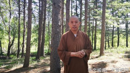 别在生活的信念中夹生