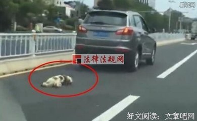 喜欢一个不喜欢自己的人 到底有多残忍