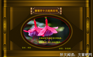 曹雪芹名句欣赏