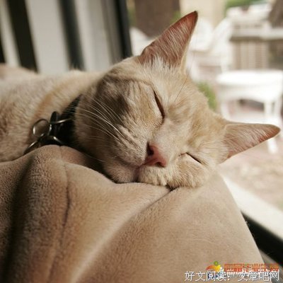 小多他所感悟的青春的优美句子