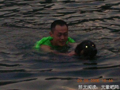 关于罗尔的座右铭