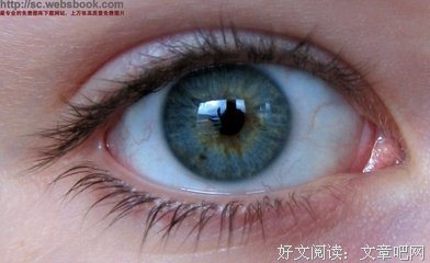 关于抱歉的语句