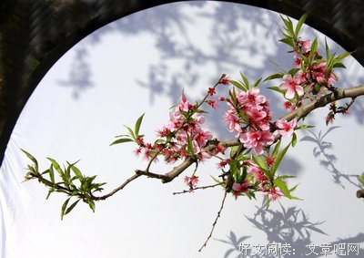 描写丁点的语句摘抄