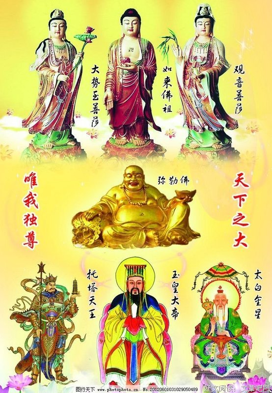 最新的渡渡名言