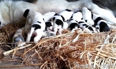 《罗尔娜的沉默》影评10篇