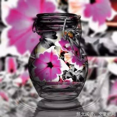 一个空瓶（此生必读）