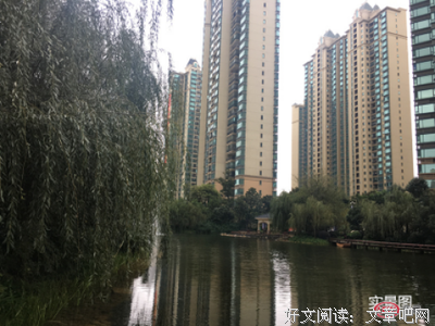 只有在真正安静的日子里，你才会明白什么是生活