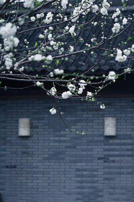 孤城·顾城的优美句子