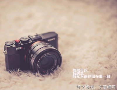 关于浅。的句子