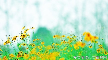 扪心自问的句子