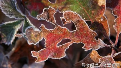 关于潦倒的唯美语录
