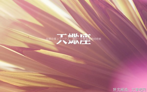 关于宋小君的唯美语录