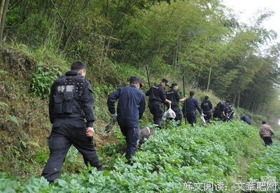 一个人要努力到什么程度，才能安心地混吃等死？
