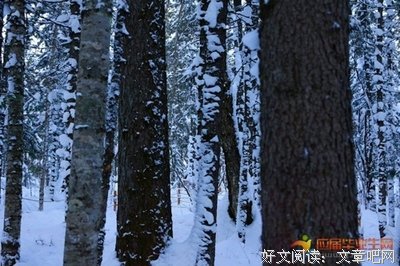 关于不思量，自难忘的句子