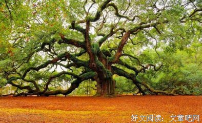 清经典名句