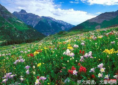 关于心急的名言